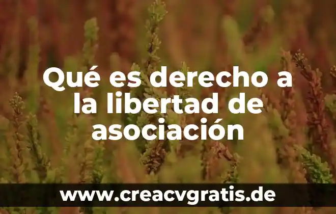 Ensayo de que es la libertad corto 7 Qué es derecho a la libertad de asociación