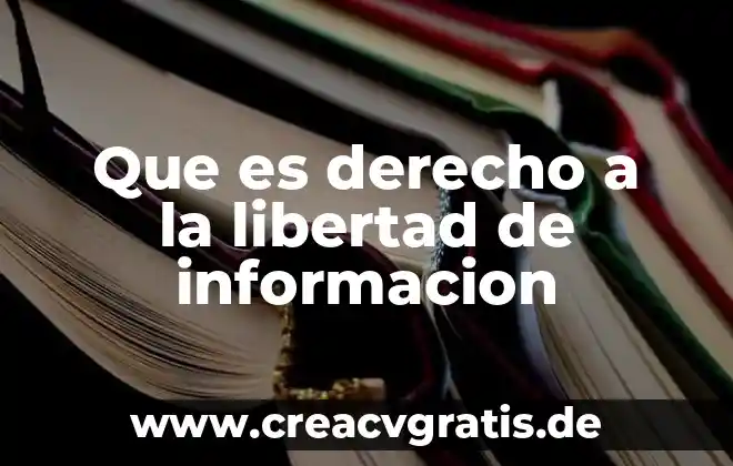 Ensayo de que es la libertad corto 8 Que es derecho a la libertad de informacion