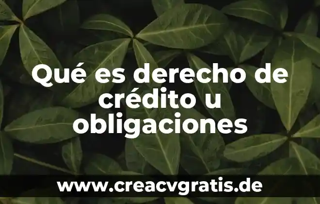 Qué es distribución en planta en forma de u 8 Qué es derecho de crédito u obligaciones