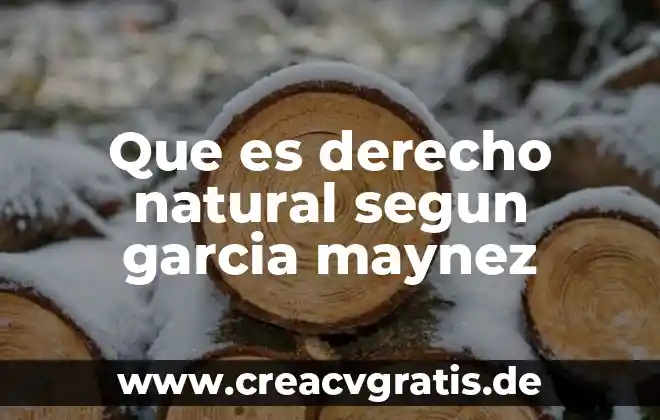 Que es un aval segun eduardo garcia maynez 4 Que es derecho natural segun garcia maynez