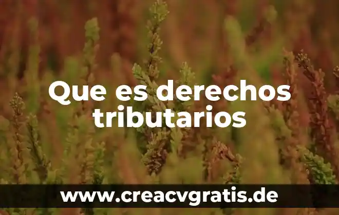 Que es la vigencia de derechos del trabajador 4 Que es derechos tributarios
