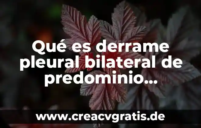 Qué es el respeto tipos 3 Qué es derrame pleural bilateral de predominio derecho