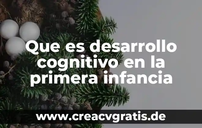 Primera infancia en los niños que es con palabras entendibles 3 Que es desarrollo cognitivo en la primera infancia