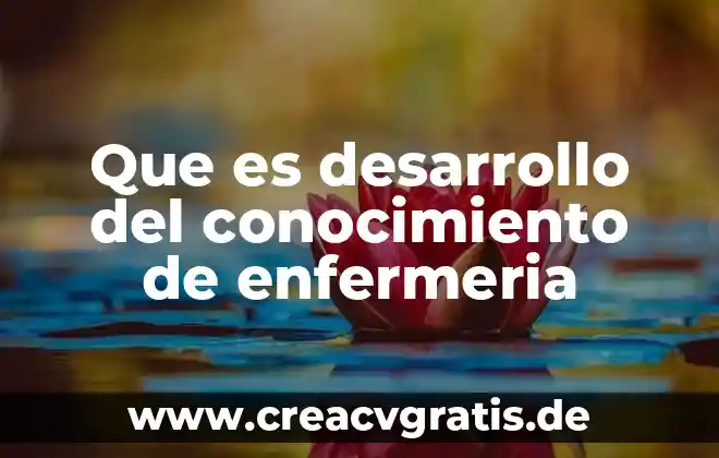 Que es un recien nacido enfermeria 5 Que es desarrollo del conocimiento de enfermeria