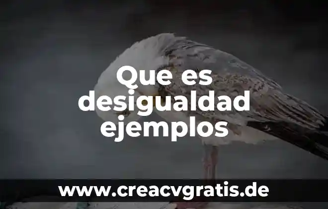 Que es el sufijo del nombre ejemplos 3 Que es desigualdad ejemplos