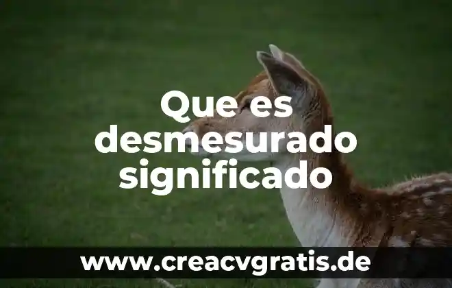 Que es una norma significado 7 Que es desmesurado significado