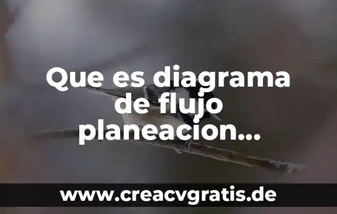 Qué es visión en administración estratégica 5 Que es diagrama de flujo planeacion estrategica