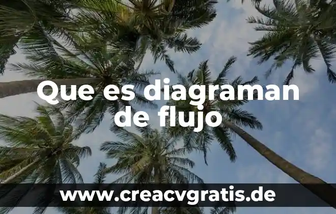Qué es países desarrollados 8 Que es diagraman de flujo
