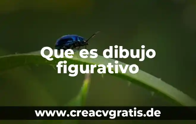 Que es la nom para dibujo 3 Que es dibujo figurativo