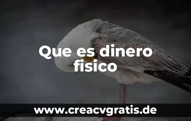 Que es un examen fisico ginecologico 5 Que es dinero fisico