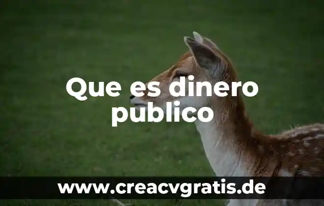 Lo que es público y lo que es privado 5 Que es dinero publico