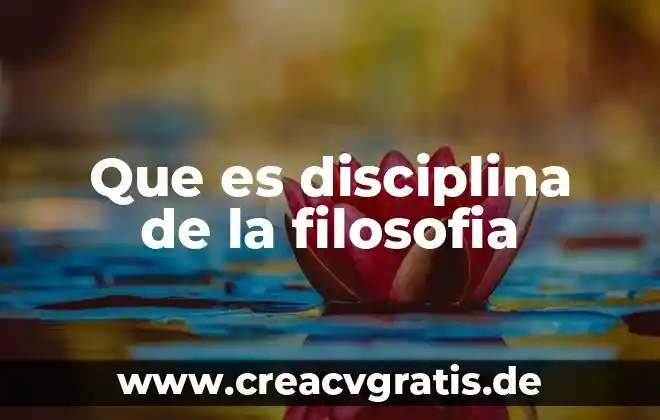 Qué es facticidad en filosofía 3 Que es disciplina de la filosofia