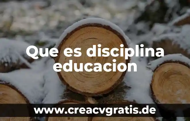 Qué es educación física y su significado 8 Que es disciplina educacion