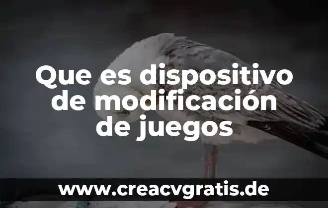 Que es la modificacion de los productos actuales 4 Que es dispositivo de modificación de juegos