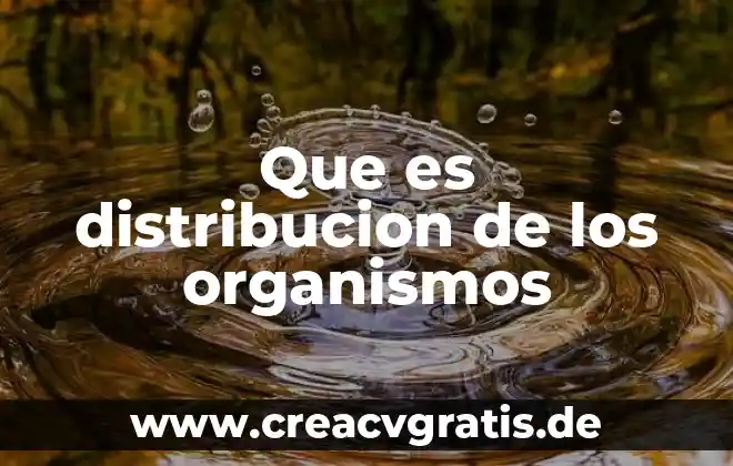 Que es la calidad segun los organismos internacionales 8 Que es distribucion de los organismos