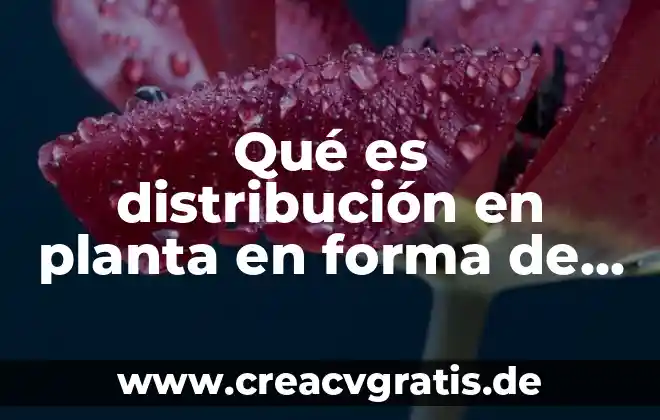 Qué es derecho de crédito u obligaciones 8 Qué es distribución en planta en forma de u