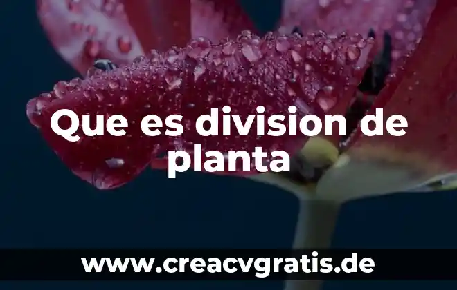 Que es un embrion de planta 7 Que es division de planta