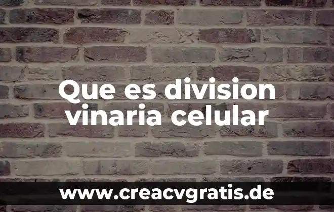 División de trabajo que es 6 Que es division vinaria celular