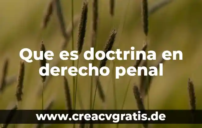 En lo penal que es un autor y participantes 3 Que es doctrina en derecho penal