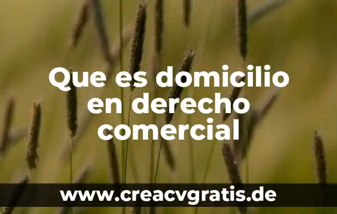 Que es nombre comercial en el rfc 8 Que es domicilio en derecho comercial