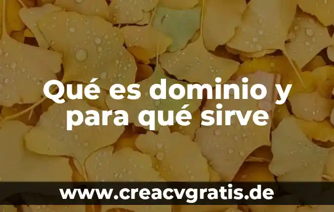 Que es una cuenta de orden y para que sirve 3 Qué es dominio y para qué sirve