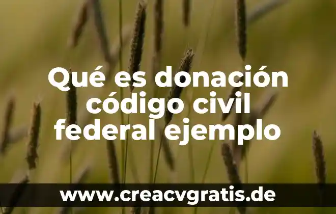 ¿Qué es el código binario con referencia? 3 Qué es donación código civil federal ejemplo