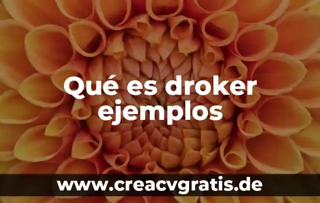 Que es el dinero ilegal ejemplos 7 Qué es droker ejemplos