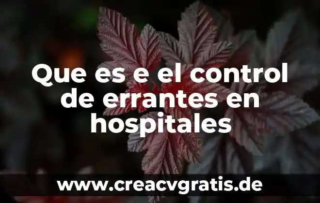 Qué es un programa de control de versiones 8 Que es e el control de errantes en hospitales