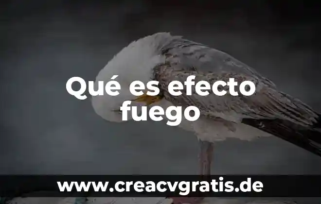 Que es el peso neto efecto 7 Qué es efecto fuego