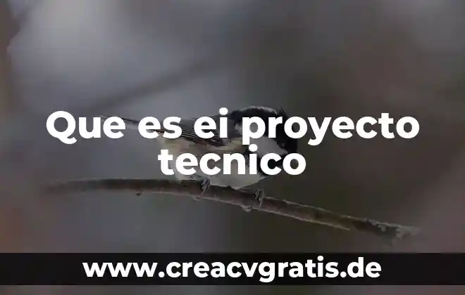 Que es mantenimiento y soporte tecnico 7 Que es ei proyecto tecnico