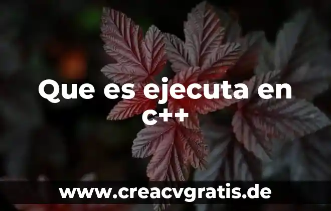Qué es una c cueta o cruz caterpi 6 Que es ejecuta en c++