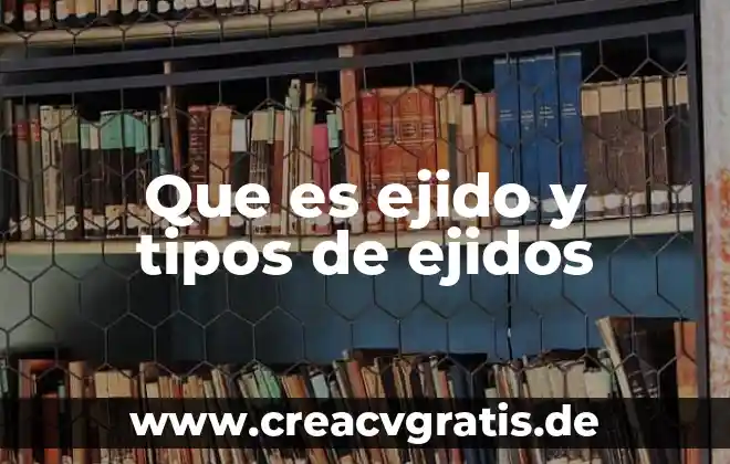 Que es un traumatismo tipos 8 Que es ejido y tipos de ejidos