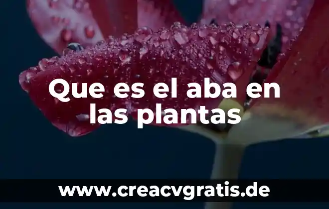 Que es apice en las plantas 3 Que es el aba en las plantas