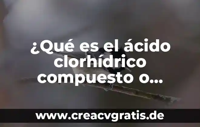 Para que es el acido acexamico unguento 6 ¿Qué es el ácido clorhídrico compuesto o mezcla?