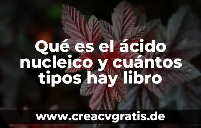 Que es violencia y cuantos tipos de violenci hay 6 Qué es el ácido nucleico y cuántos tipos hay libro