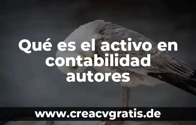 Qué es una tesis y sus características autores 3 Qué es el activo en contabilidad autores