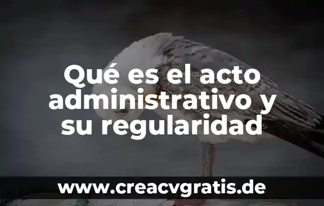 Que es regularidad en un periodico 5 Qué es el acto administrativo y su regularidad