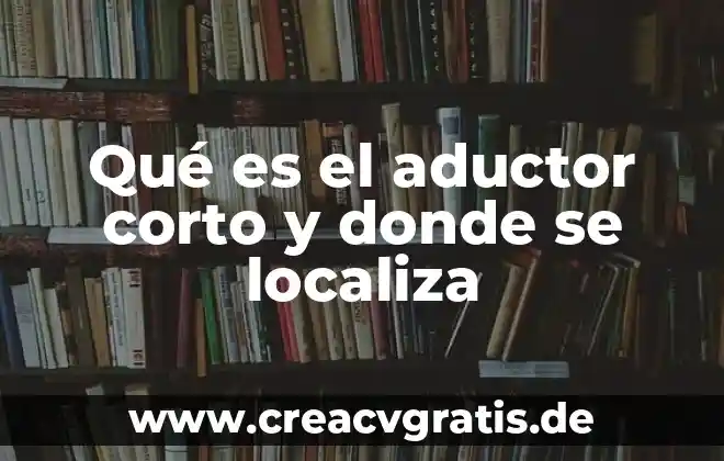 Libros donde explique que es el álgebra 3 Qué es el aductor corto y donde se localiza