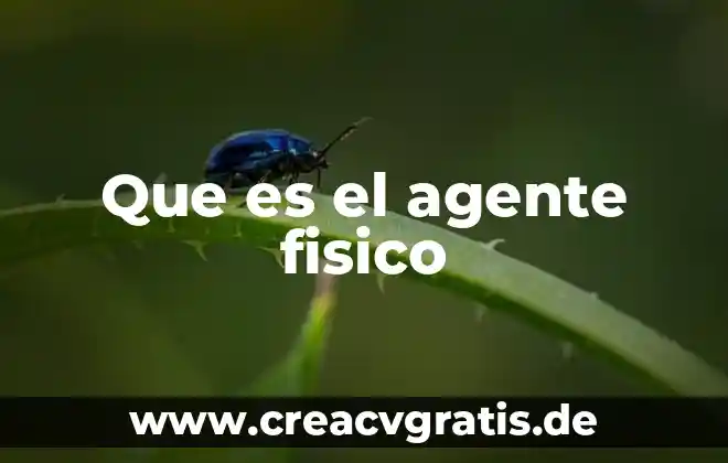 Que es el envejecimiento fisico 3 Que es el agente fisico