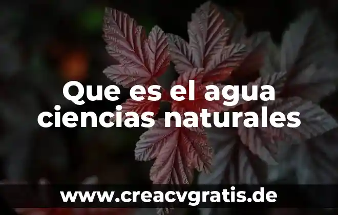 Que es protista en ciencias naturales 3 Que es el agua ciencias naturales