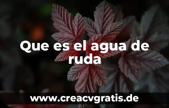 Qué es el co2 libre en agua 3 Que es el agua de ruda