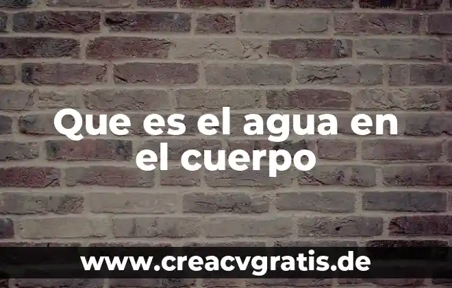 Que es el cuerpo de una camara 8 Que es el agua en el cuerpo
