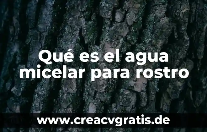 Que es agua micelar precio 3 Qué es el agua micelar para rostro