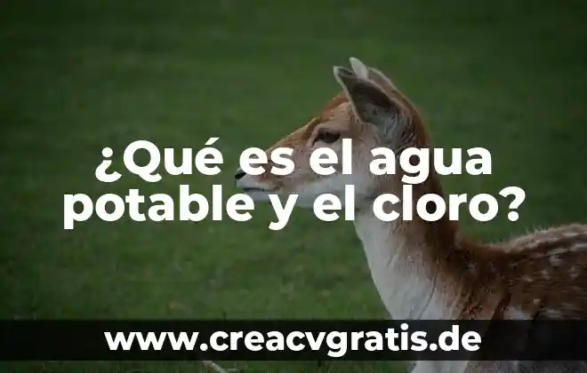 Que es una compresa de agua tibia 8 ¿Qué es el agua potable y el cloro?