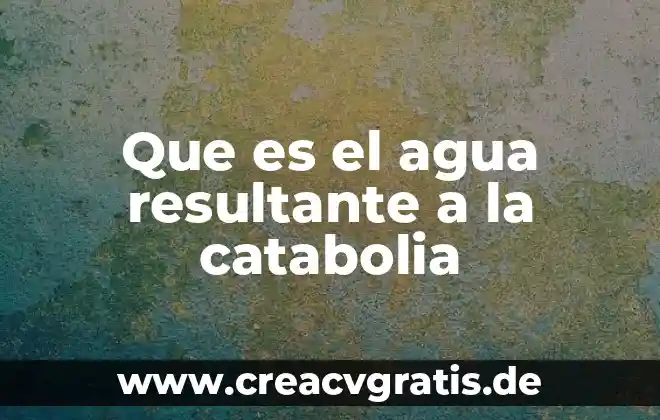 Que es agua freatica 5 Que es el agua resultante a la catabolia