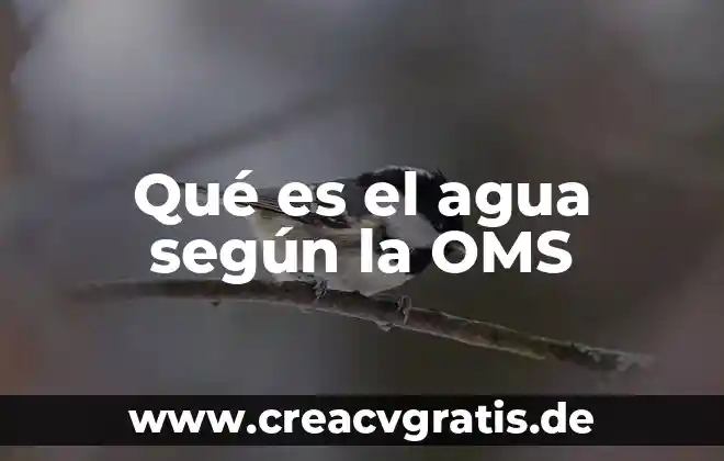 Que es la fisioterapia segun la oms 8 Qué es el agua según la OMS