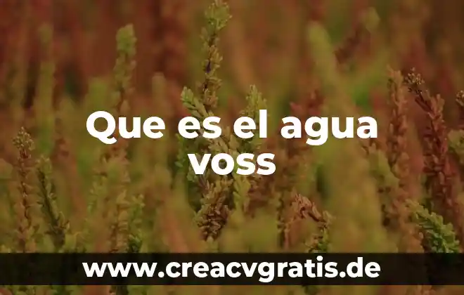 Que es prevenir una contaminacion de agua 5 Que es el agua voss