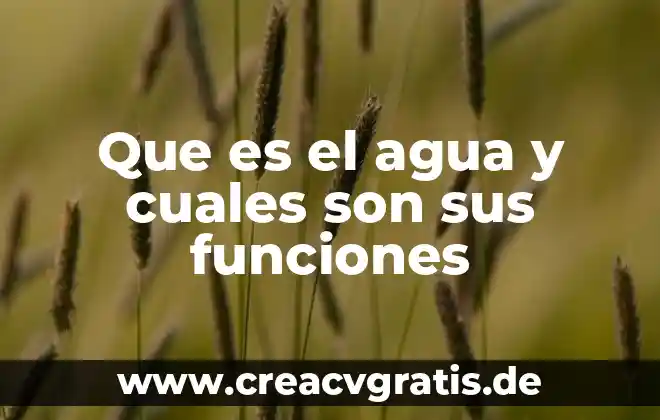 Que es una solucion y cuales son sus tipod 3 Que es el agua y cuales son sus funciones