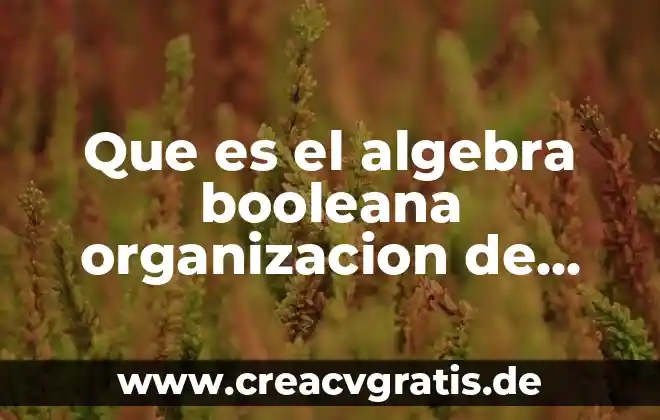 Qué es información en redes de computadoras 4 Que es el algebra booleana organizacion de computadoras