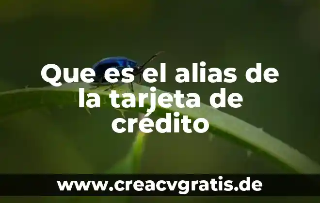 Que es la cuota anual de una tarjeta de crédito 5 Que es el alias de la tarjeta de crédito